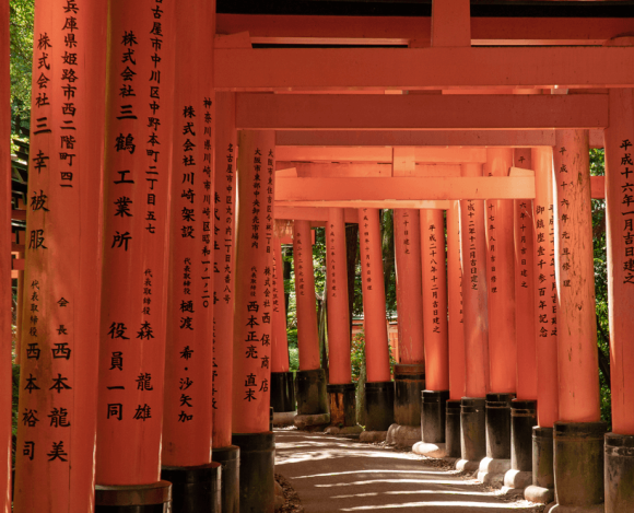 Excursión a Fushimi Inari y Nara