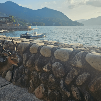 ¿Cómo ir de Kioto a Miyajima?