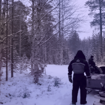 Motos de nieve, pesca en el hielo y auroras boreales en Rovaniemi