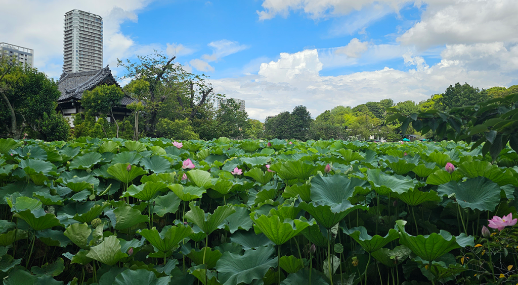 Parque de Ueno