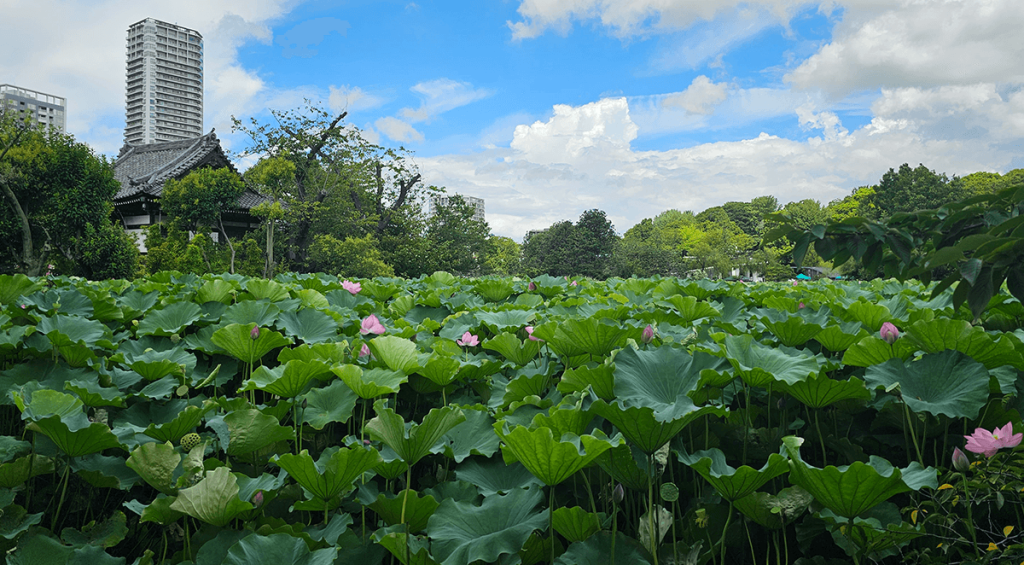 Parque de Ueno