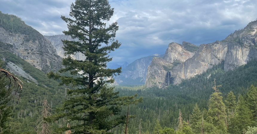 Ruta de Yosemite a San Francisco