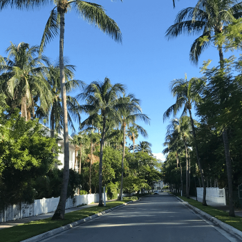 ¿Cómo ir de Miami a Key West sin coche?