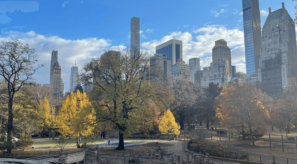 Central Park, imperdible que ver en Nueva York