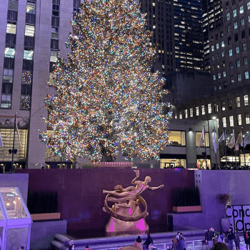 Nueva York en Navidad: imprescindibles qué ver y hacer