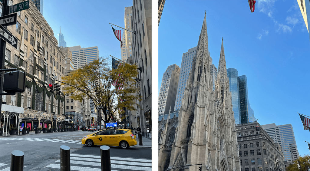 Quinta Avenida, calle que ver en Nueva York