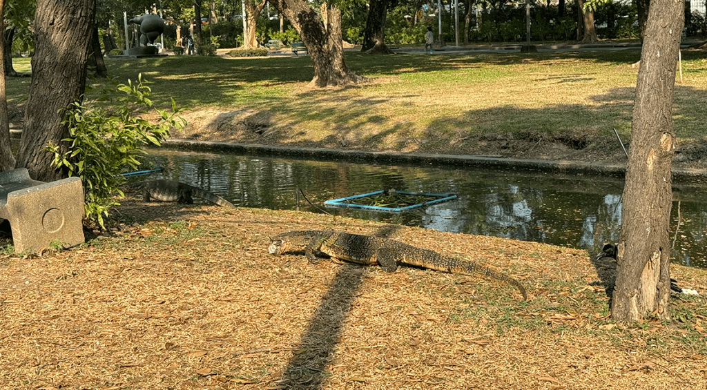 Lumpini Park en que ver en Bangkok