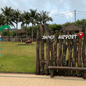 Cómo ir a Koh Samui desde Bangkok