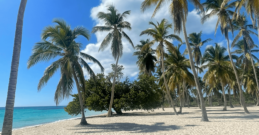 Excursión a la isla Saona desde Punta Cana