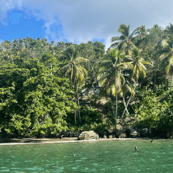 Excursión a Samaná con Cascada Limón y Cayo Levantado 