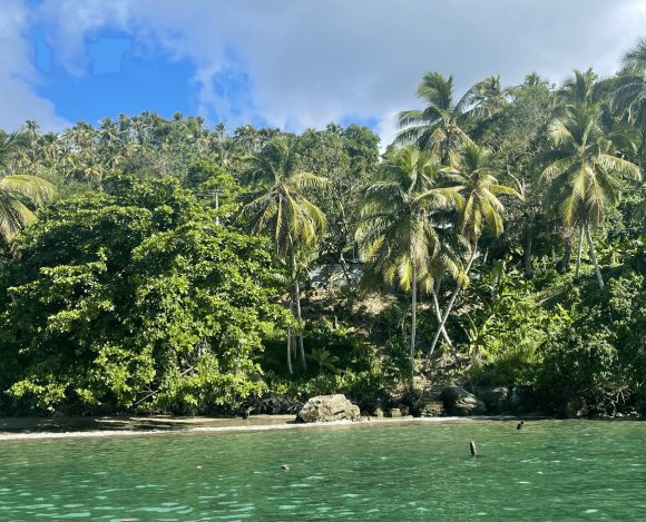 Excursión a Samaná con Cascada Limón y Cayo Levantado 