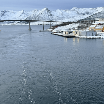 Hurtigruten en Noruega: todo sobre viajar por los fiordos